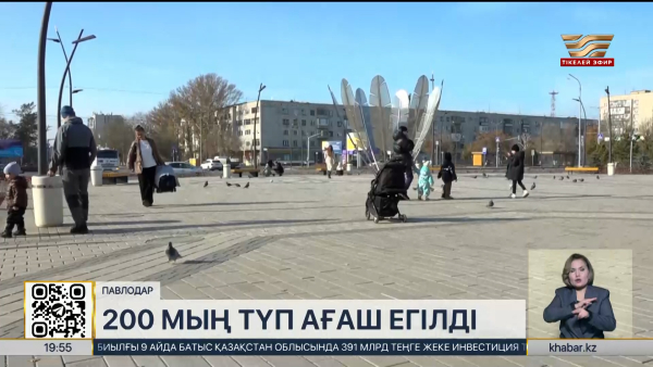 Павлодарда күзгі ағаш егу науқаны жүріп жатыр