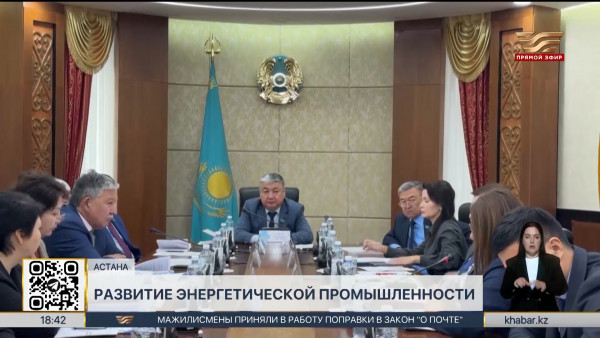 Депутаты Сената обсудили проблемные вопросы энергетического рынка