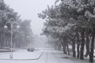 Еліміздің басым бөлігінде қар жауады