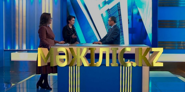 Проект Кодекса о здоровье. Законопроект о туризме. &laquo;Мәжіліс.kz&raquo;