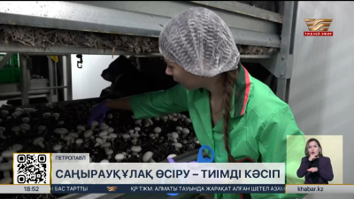 Петропавлда саңырауқұлақ өсіріледі