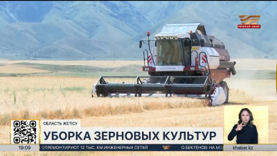 Уборку зерновых культур начали в области Жетысу