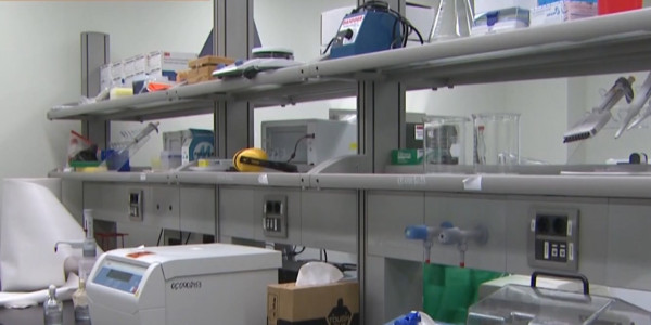 Коронавирус таралуын тоқтату үшін халықтың 70% вакцина салу керек