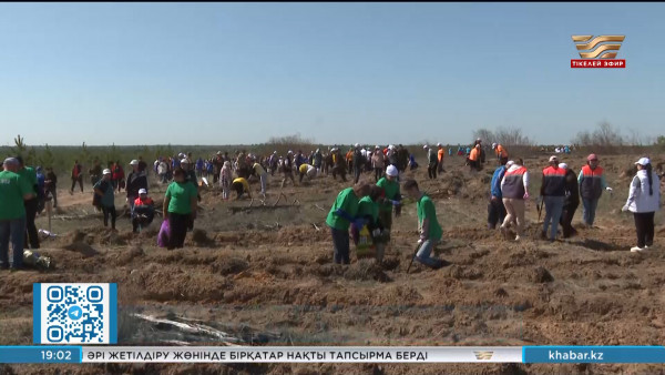 Президент Семей орманын қалпына келтіру жөніндегі бастаманы қолдады