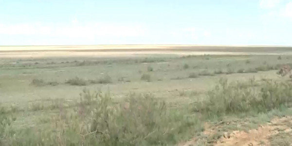 Исчезают озера на севере Казахстана