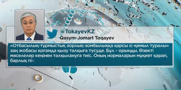 Қасым-Жомарт Тоқаев зорлық-зомбылық туралы заң жобасына қатысты пікір білдірді
