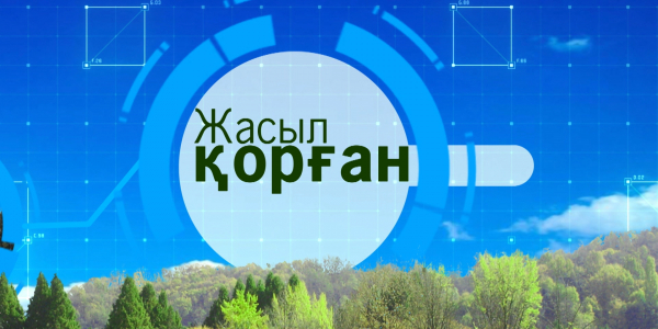 &laquo;Арнайы хабар&raquo;. Жасыл қорған