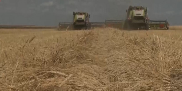 С 15 августа запретят продажу кормов за рубеж