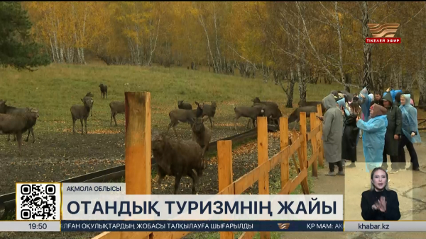 Турист қауіпсіздігі ЖИ арқылы бақыланады