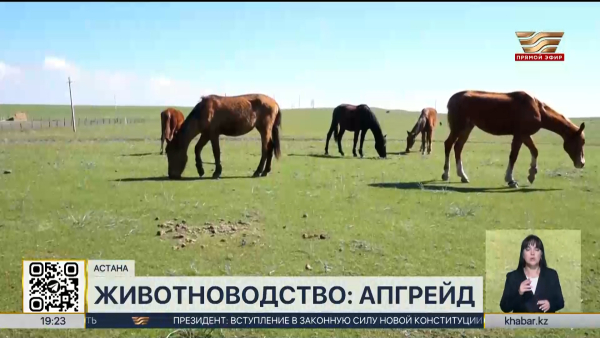 Лучших работников животноводства и ветеринарии наградили в столице