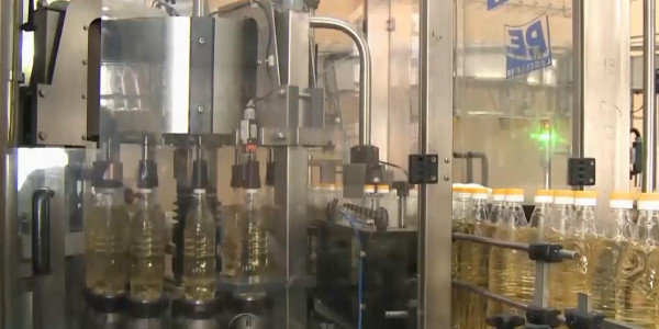 В ценовом сговоре подозревают крупнейших производителей растительного масла