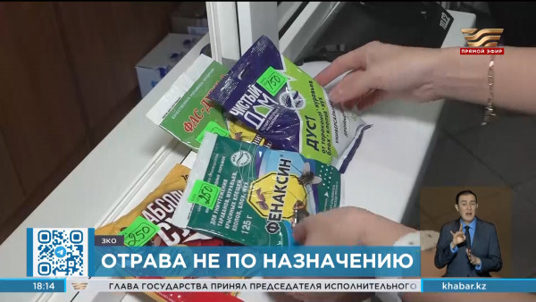 Санврачи Уральска не рекомендуют самостоятельно травить насекомых