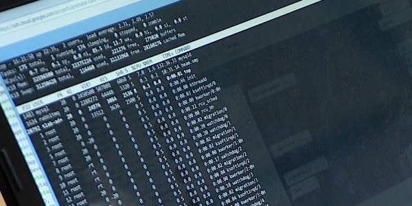 Банковские данные почти 300 казахстанцев оказались в руках хакеров