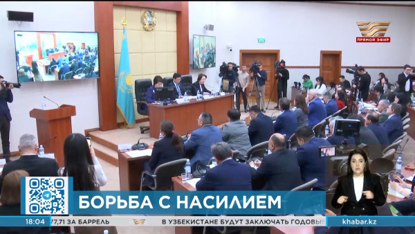 В Мажилисе презентовали новый законопроект по правам женщин и безопасности детей