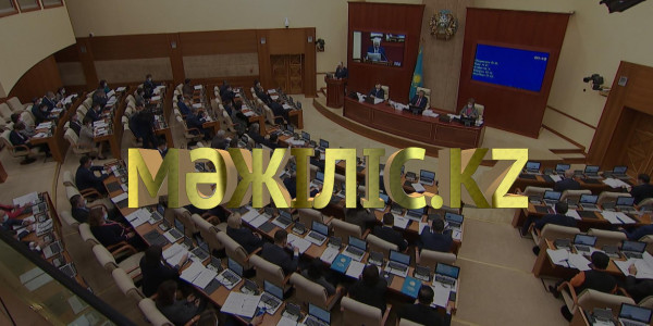 Депутаттар бағалы металдардың заңсыз айналымына қарсы жазаны күшейтуді ұсынды. &laquo;Мәжіліс.kz&raquo;