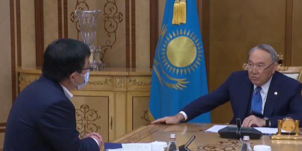 Елбасы принял главу Корпоративного фонда &laquo;University Medical Center&raquo;