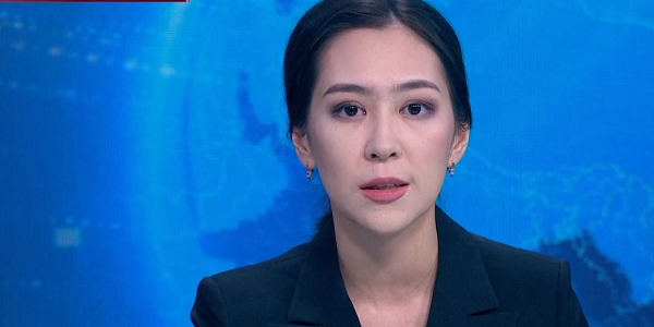 Председатель Совета генералов Казахстана погиб при крушении самолета близ Алматы