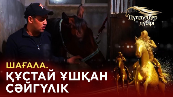 Шағала. Құстай ұшқан сәйгүлік.&laquo;Дүлдүлдер дүбірі&raquo;. Бәйге.