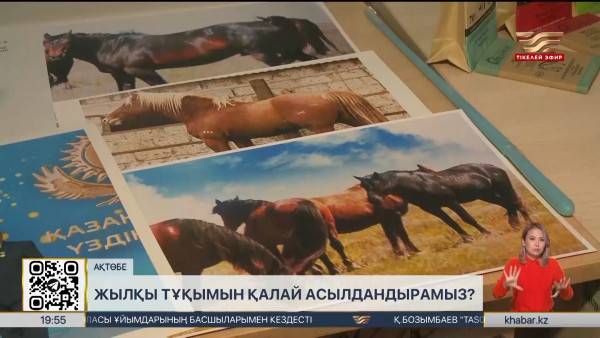 Ақтөбеде жылқы шаруашылығын дамытуға бағытталған республикалық ғылыми-конференция өтті