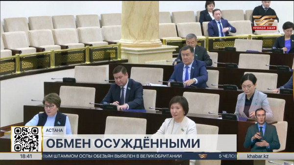 Договор о передаче осужденных лиц между Казахстаном и Вьетнамом одобрил Сенат