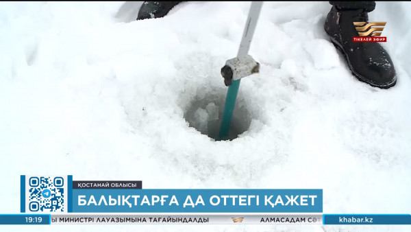 Балықтарға да оттегі қажет