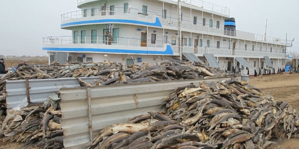 Жайық өзенінің жайы талқыланды