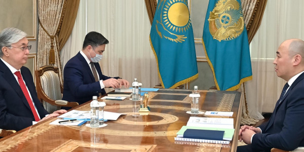 Президент &laquo;Бәйтерек&raquo; ұлттық басқарушы холдингі&raquo; АҚ басқарма төрағасын қабылдады