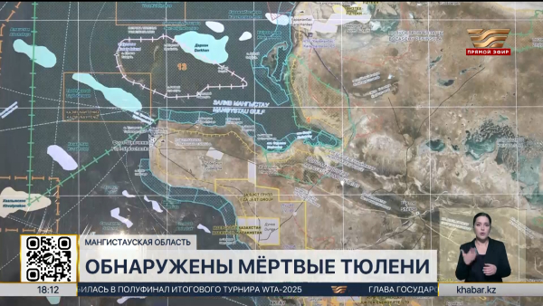 Мёртвые тюлени обнаружены в Мангистауской области