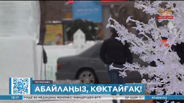 Петропавлда жолдарды көктайғақ басты