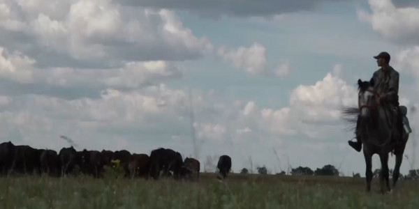 Еліміздің солтүстігінде жер дауы күннен-күнге ушығып барады