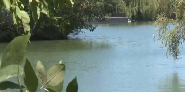 В озеро дендропарка Шымкента вернулась вода