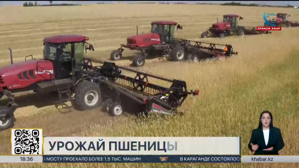 Рекордный объём зерна собрали казахстанские хлеборобы