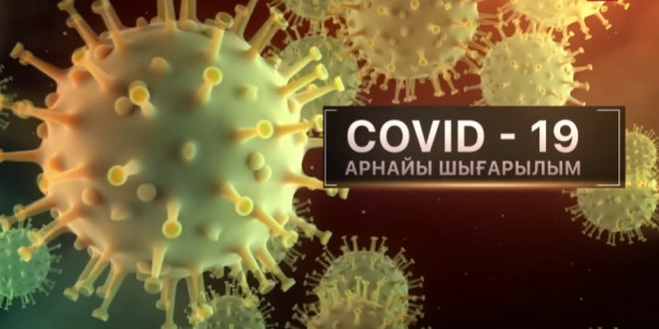 Арнайы шығарылым. COVID-19