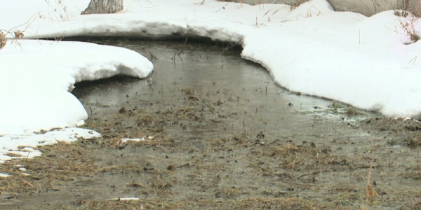 В Павлодаре не могут установить причины наводнения в городе