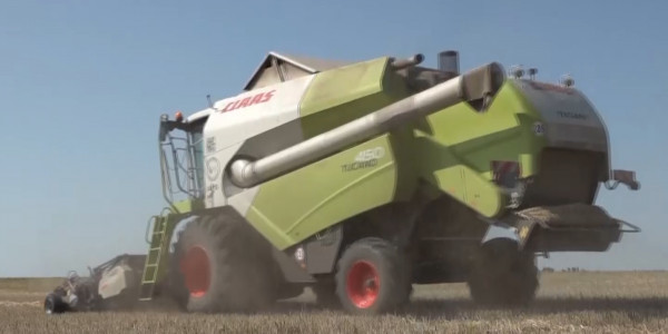 В СКО началась уборка урожая