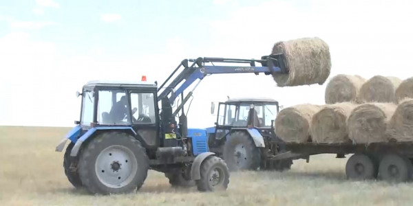 Маңғыстауға 1300 тонна шөп жөнелтілді