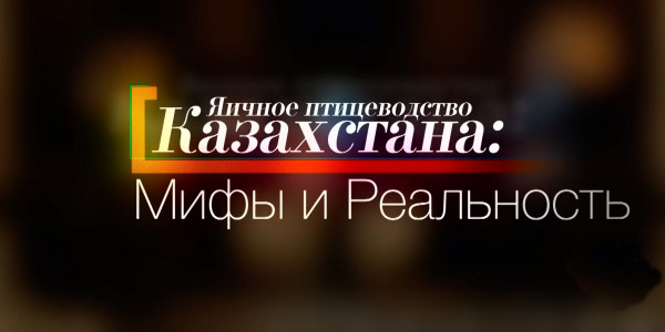 Спецпроект. Яичное птицеводство Казахстана: мифы и реальность