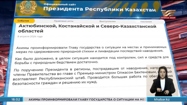 Президенту доложили о паводковой ситуации в регионах
