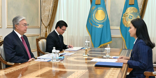 Глава государства принял председателя правления АО &laquo;Казпочта&raquo;