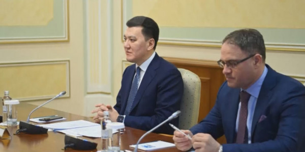 Мемлекеттік кеңесші ЕҚЫҰ байқаушыларымен кездесті