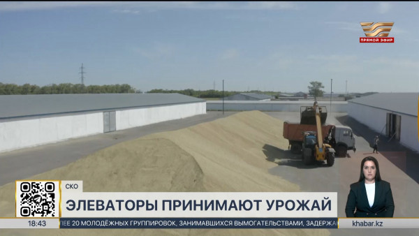 2,8 млн тонн нового урожая намолотили хлеборобы СКО