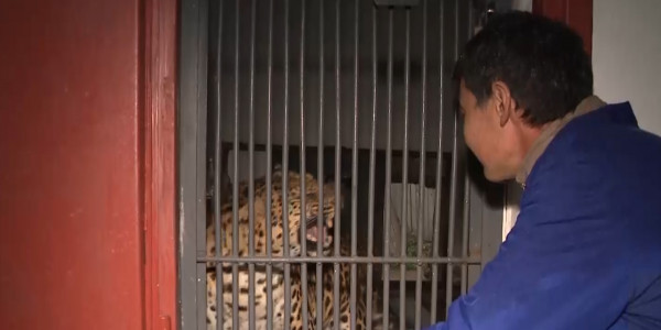 Ветеринар работает в Алматинском зоопарке уже 25 лет