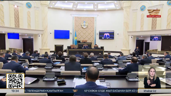 Сенат отырысында екі маңызды заң мақұлданды