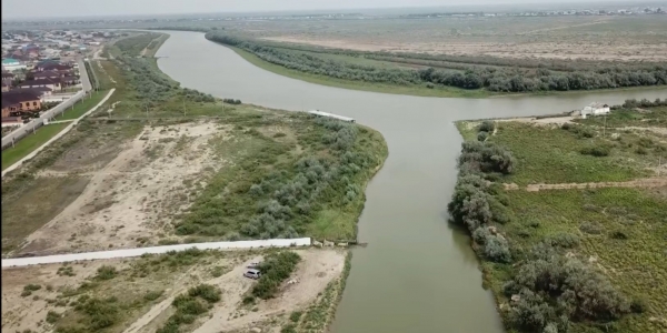 Атырау облысындағы су маржандарының өрісі кеңейер кез жақын