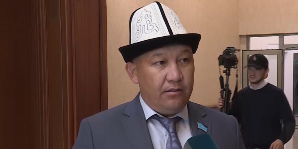 Президент отметил первое участие представителей маслихатов на совещании