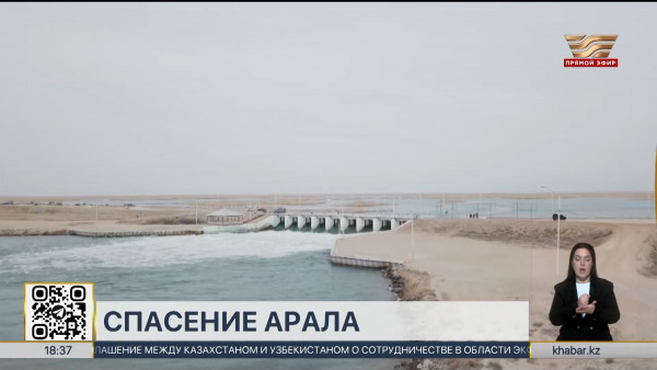 Почти 2 млрд кубометров воды направили в Аральское море в 2024 году
