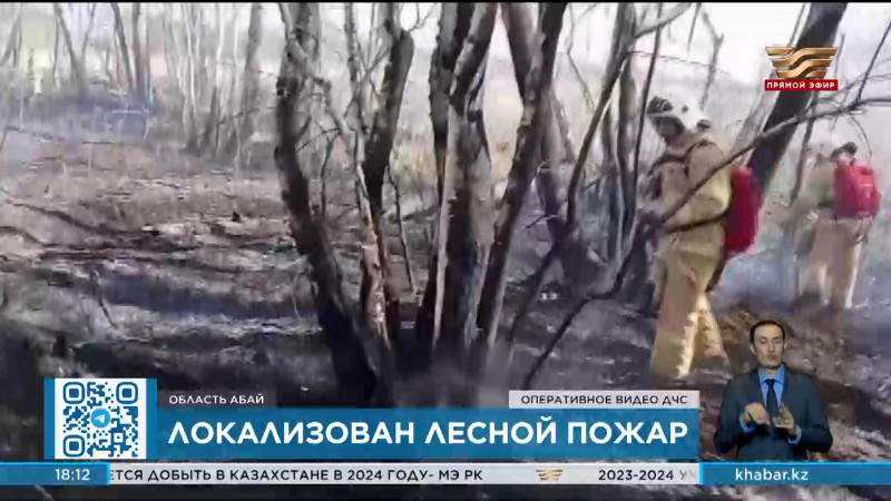 Лесной пожар локализован в области Абай