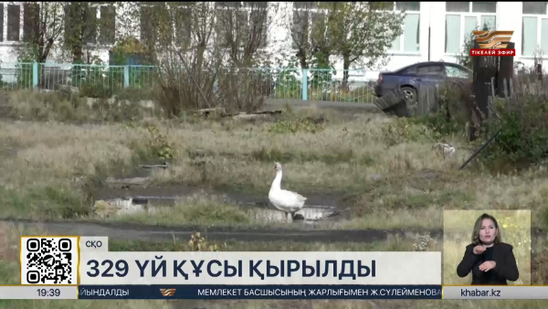 Солтүстік Қазақстандағы Бугровое ауылында 329 үй құсы қырылды