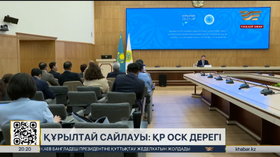 Құрылтай сайлауы: 9 миллионнан астам сайлаушы дауыс берді
