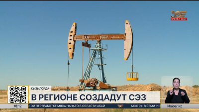 Специальная экономическая зона «Коркыт Ата» появится в Кызылординской области